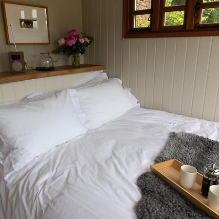 Luxury, Rural Shepherds Hut With Hot Tub Nr Bath 브리스틀 외부 사진